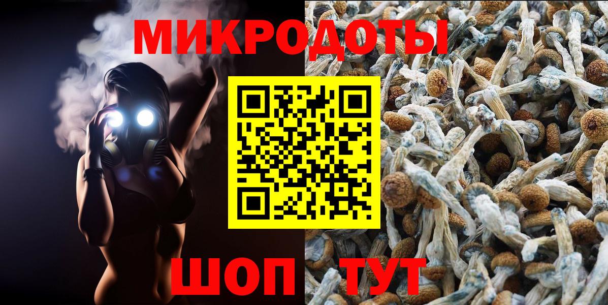 Галлюциногенные грибы GOLDEN TEACHER  Вход с VPN  Чернушка  Галлюциногенные грибы Psilocybine cubensis 