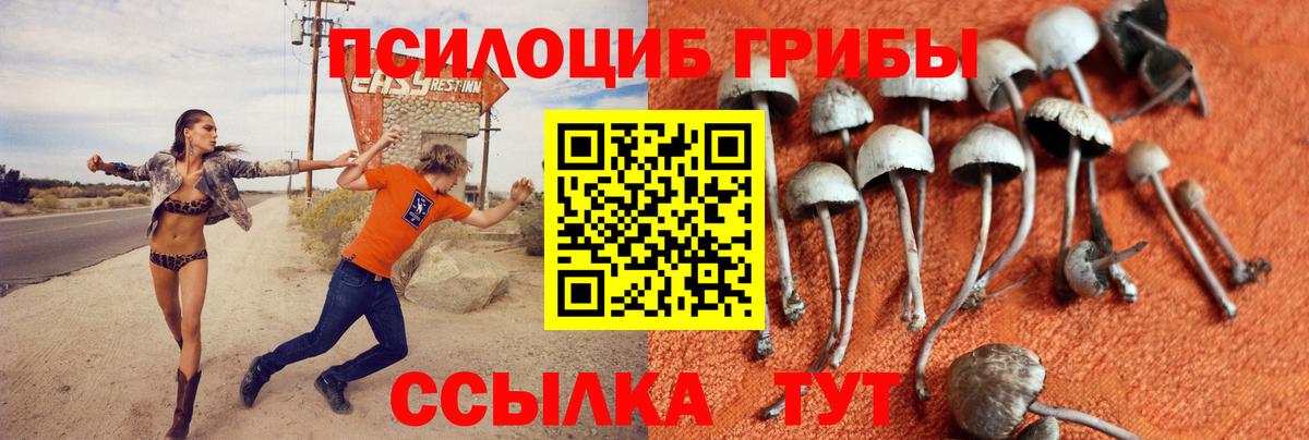 Галлюциногенные грибы мицелий Чернушка